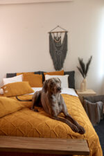 Narzuta Brytyjska LaManta musztardowa 220x240 cm - obrazek 6