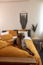 Poszewka Brytyjska Kwadratowa LaManta musztardowa 50x50 cm - obrazek 4