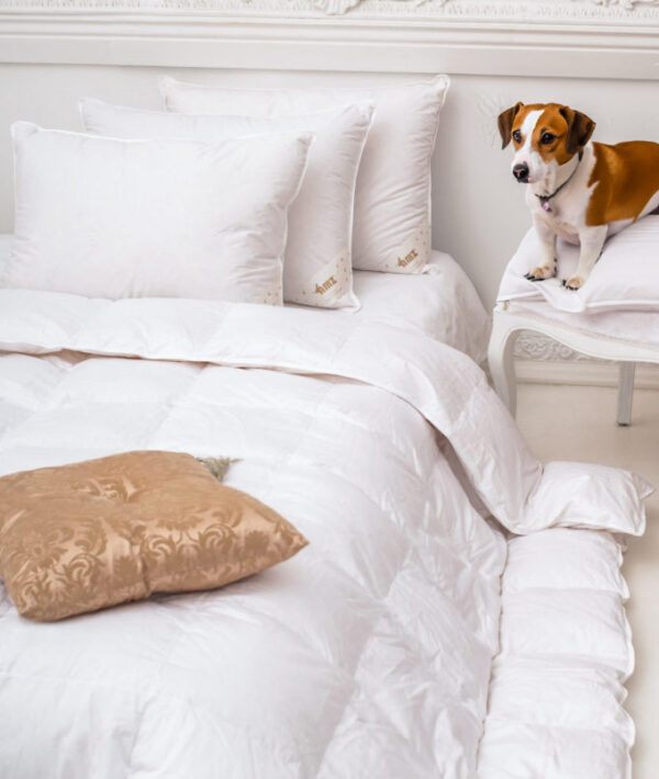 PREMIUM GOLD Kołdra City - 100% gęsi puch - obrazek 3