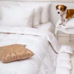 PREMIUM GOLD Kołdra City - 100% gęsi puch