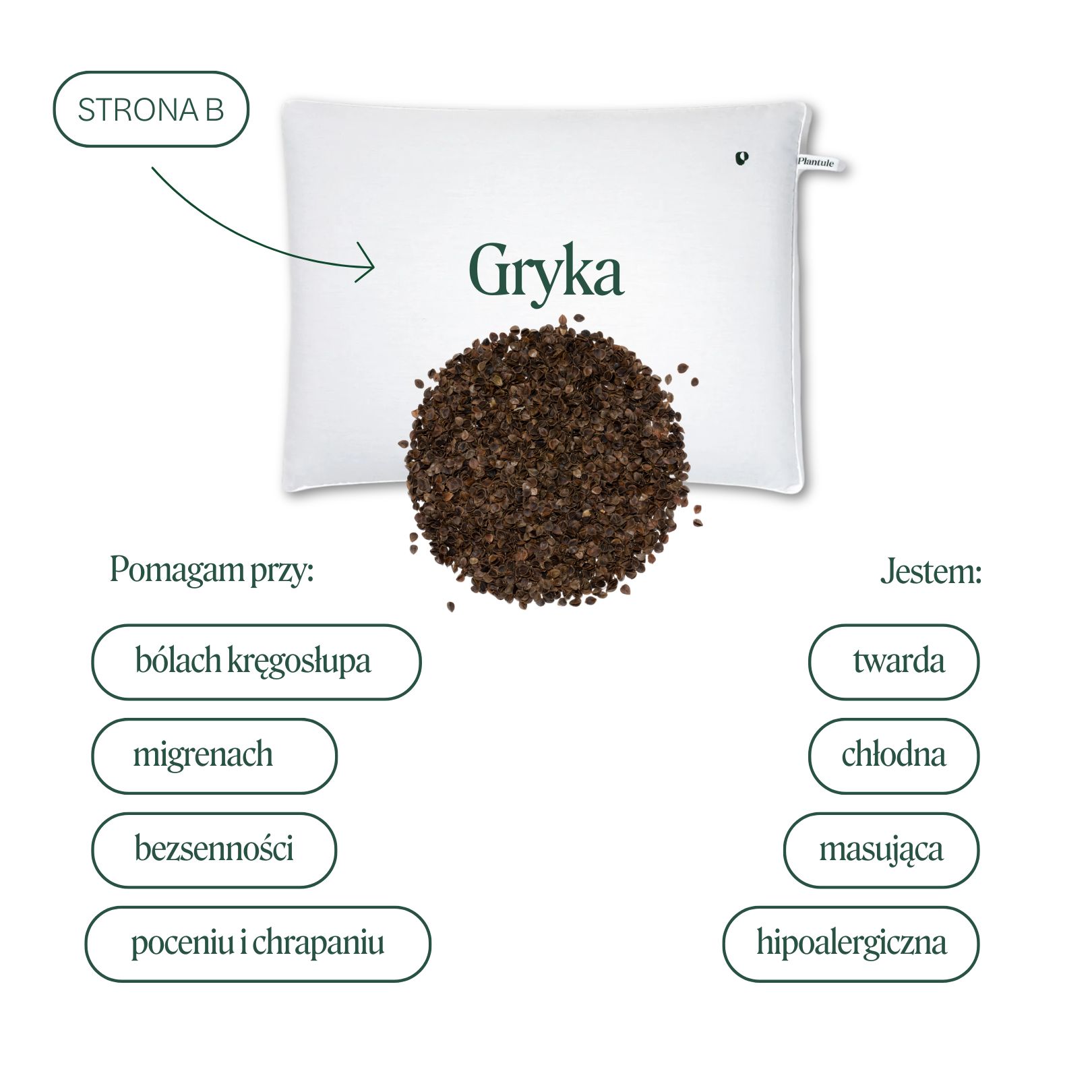 download Poduszka dwustronna z łuską gryki i złotego prosa 50x75 cm MD - Plantule - obrazek 1