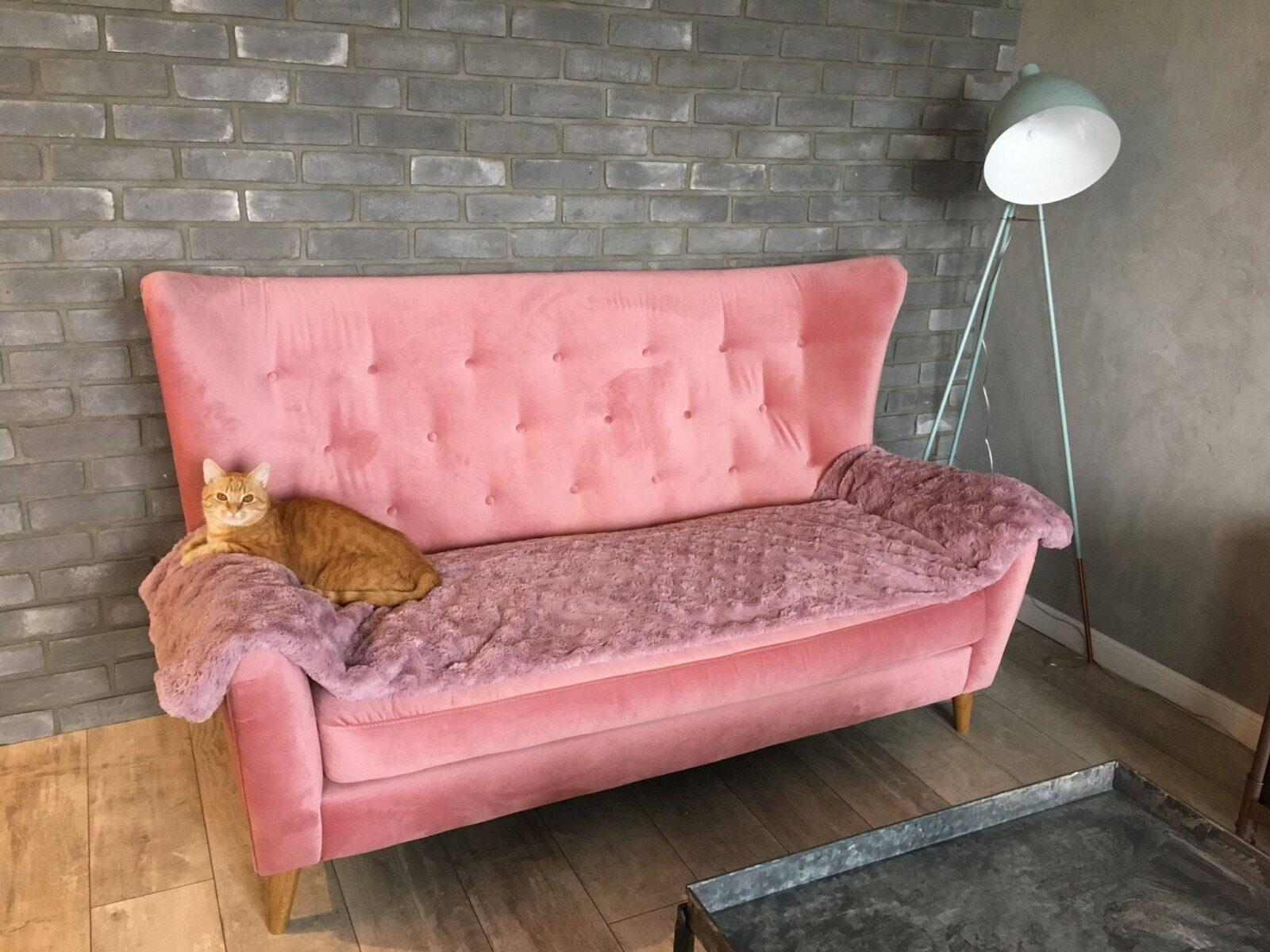 66628565_2770295942999434_7456001421276610560_n Sofa MOLLY - obrazek 4