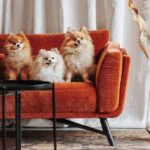 Sofa dwuosobowa KOBE